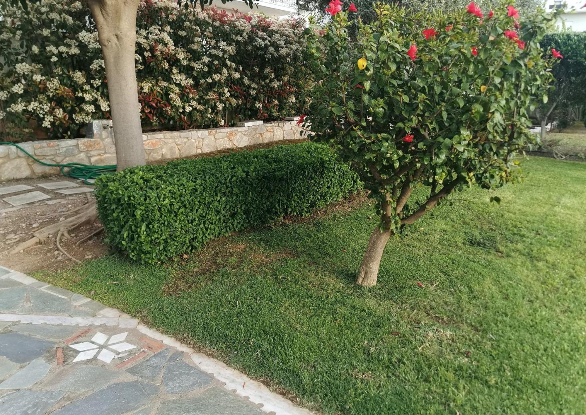Messinian Blue Seaside Villa Καλαμάτα Εξωτερικό φωτογραφία
