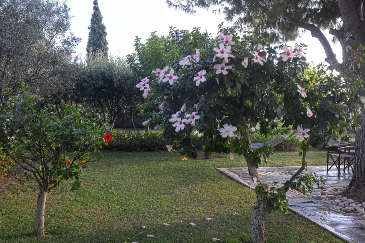 Messinian Blue Seaside Villa Καλαμάτα Εξωτερικό φωτογραφία